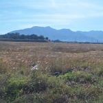 CHUYỂN NHƯỢNG  ĐẤT KCN VŨNG TÀU