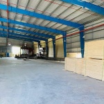 CHO THUÊ XƯỞNG THUẬN AN - BÌNH DƯƠNG